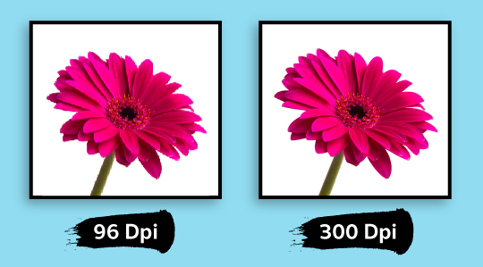 web image resolution 96 dpi web image resolution 96 dpi